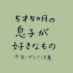 5才5ヶ月の息子が好きなもの。